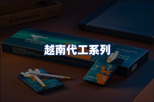 越南代工系列